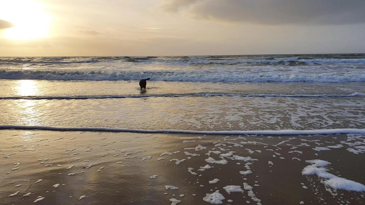 Luxe Zomerwoning Met Omheinde Tuin Voor Hond En Kinderen Dirkshorn Kültér fotó